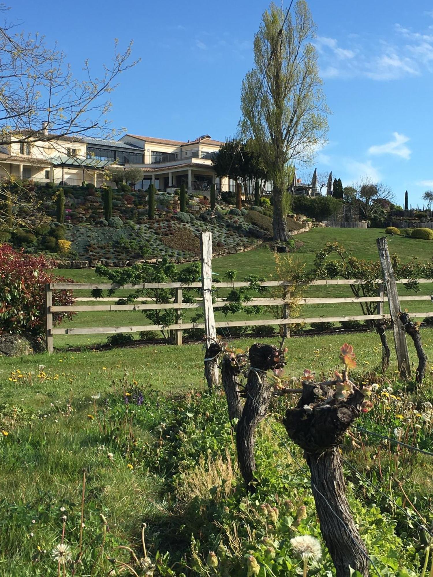 Lussac  Chateau La Rose Perriere מראה חיצוני תמונה